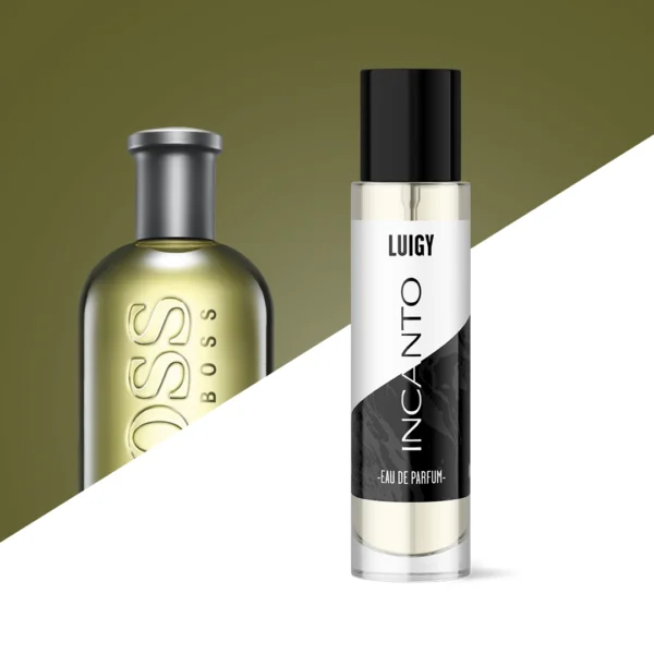 LUIGY - HUGO BOSS Bottled No6